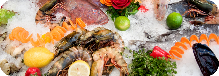 Epic_seafood_supplier_sub Epic_seafood_supplier_sub