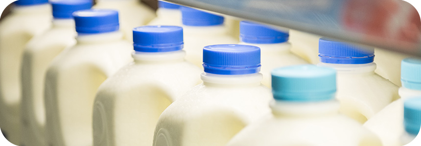 Epic_WWW_Dairy1v Epic_WWW_Dairy1v